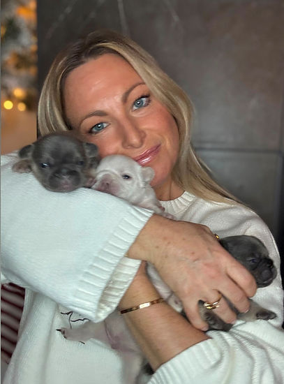 French bulldog breeders