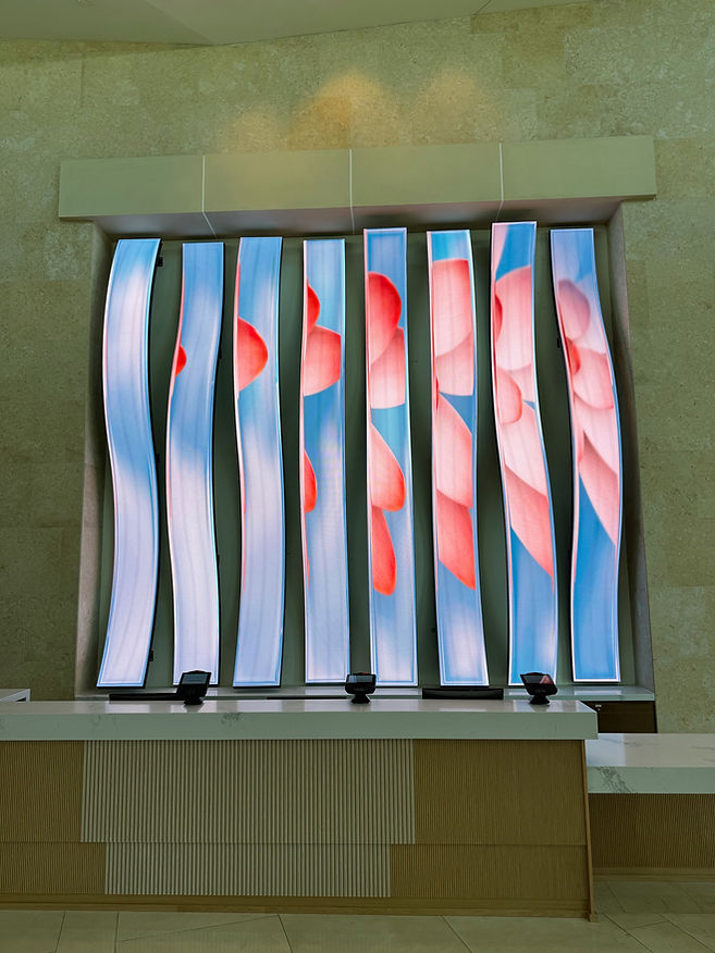 Hyatt Orlando Reception _Ribbon Wall 5.jpg