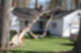 Tree on house