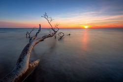 Ostsee - Zingst - Darßer Strand