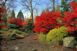 Photobia_Herbst-Planten-un-Bloomen