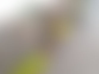 営業再開いたします