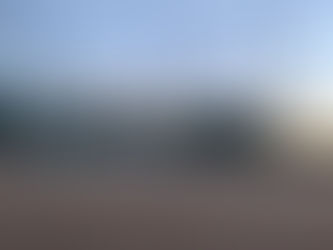 本日、営業いたします。