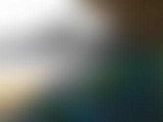 強風注意報AM9:30で営業終了します。