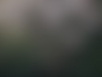 8時30分より営業しています