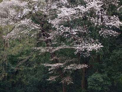 8時30分より営業しています