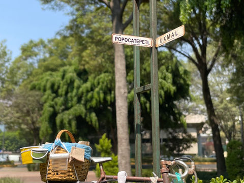 LA BICICLETA DE LOS TACOS DE CANASTA CALLEJEROS DE LA CIUDAD DE MÉXICO