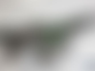 MIG 21 MF EDUARD 1/48th by FRANCO ECHENIQUE