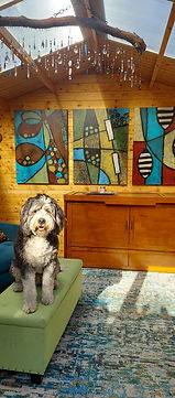 Archie and the Cube Murphy Cabinet Bed the Sleep Shop Sparks Reno