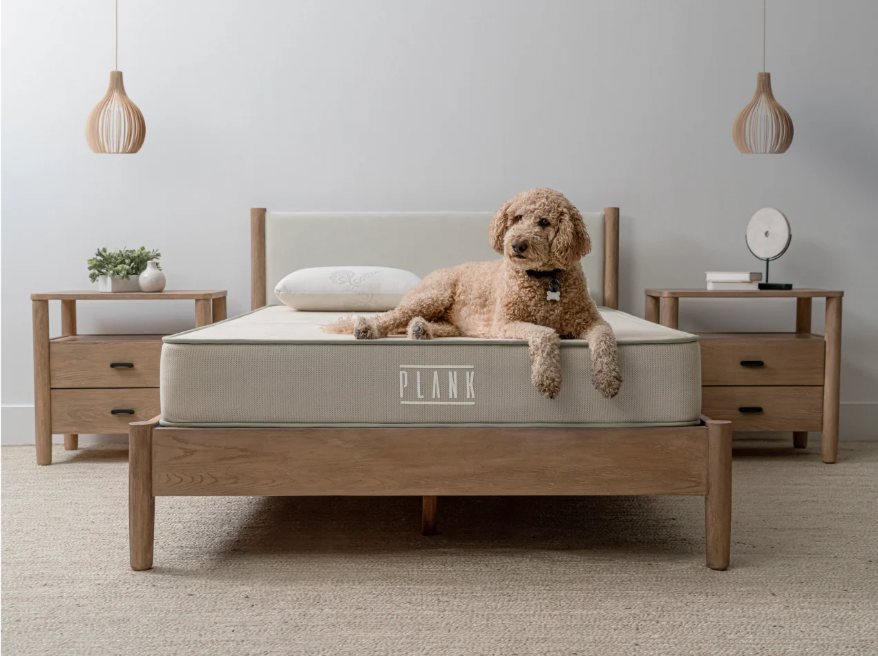 plank mattress the Sleep Shop Reno