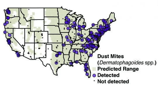 dust mite range the Sleep Shop Reno.jpg