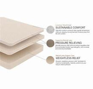 Bear Natural mattress the Sleep Shop
