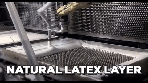 natural rubber latex mattress the Sleep Shop Sparks