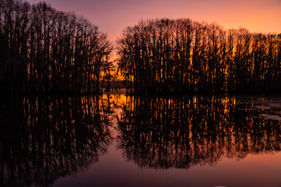 Caddo Lake (3 of 2).jpg