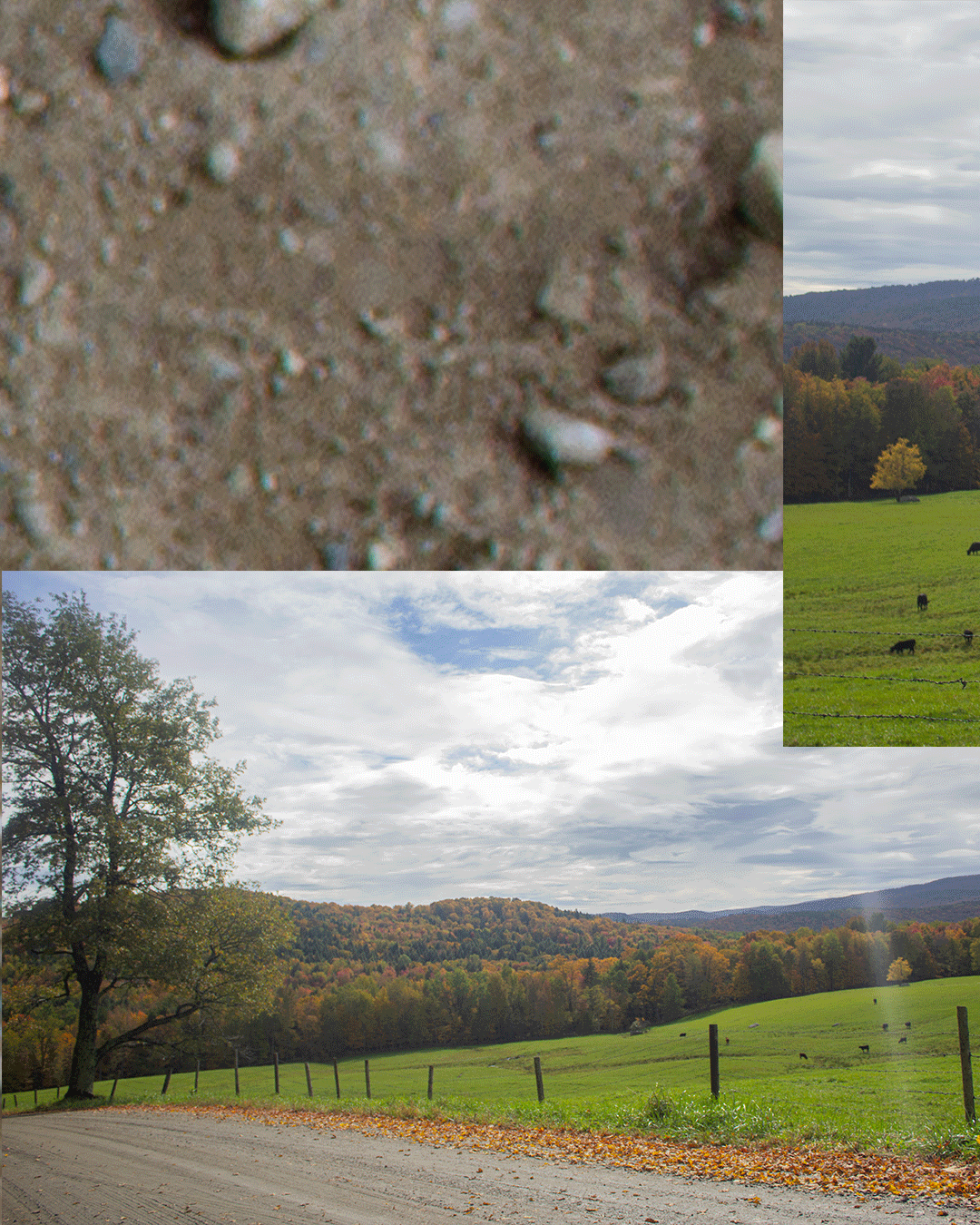 roundabout-brattleboro-10_22-collage_09.gif