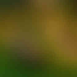 Pyramid Garden Fire Pit in Urban Garden