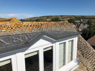 seagull prevention works in swanage Dorset