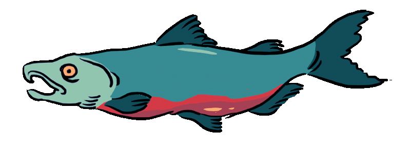fishy.gif