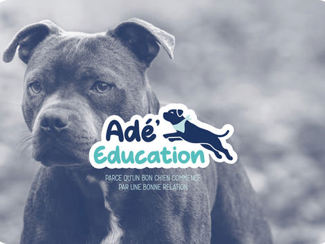 Une identité visuelle chaleureuse et pédagogique, pensée pour traduire une approche bienveillante de l'éducation canine grâce à une mascotte expressive, un univers graphique cohérent et une palette de bleus inspirant confiance.