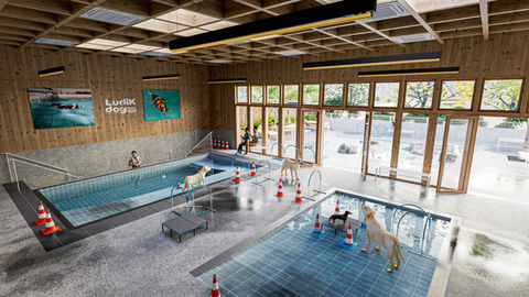 Un complexe canin nouvelle génération où parcs d'aventure, sports, parcours sensoriels et activités aquatiques créent une véritable destination de loisirs pour les chiens et leurs propriétaires.