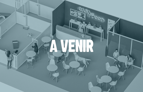 Un concept éphémère qui réinvente la pâtisserie canine en créant un lieu chaleureux où les chiens viennent se régaler, se détendre et vivre une expérience hors du commun au salon Expozoo.