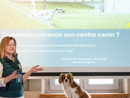 Rencontrez Archi-Dog® au Paris Animal Show le 13, 14 et 15 mars !