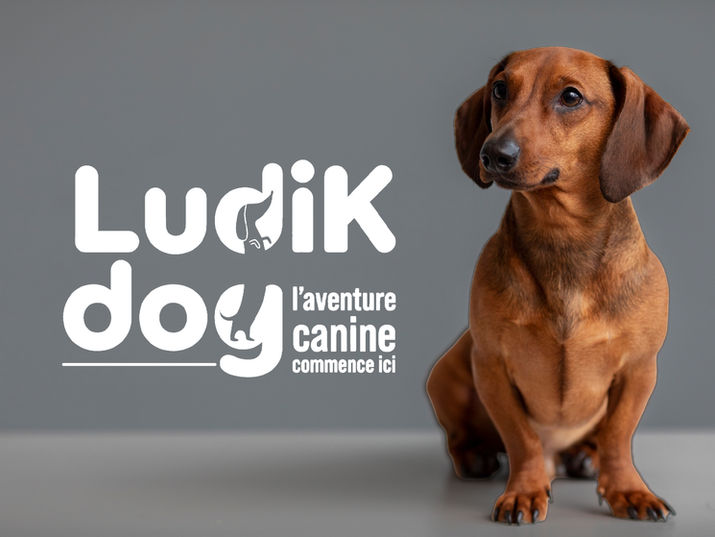 Du logo à la signalétique, en passant par les supports éditoriaux et le merchandising, LudiK Dog déploie un univers graphique autour du Teckel où chaque élément prolonge l'expérience du complexe canin.