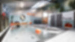 Piscine pour sessions individuelles canines