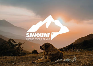 Identité visuelle Savouaf.jpg