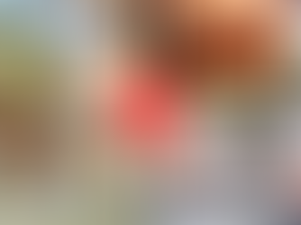 Visite video d'un parc canin indoor