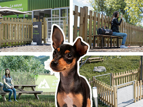 Plan type d’un parc canin : les 8 essentiels pour un caniparc bien pensé