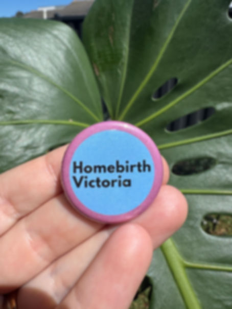 HBV pin