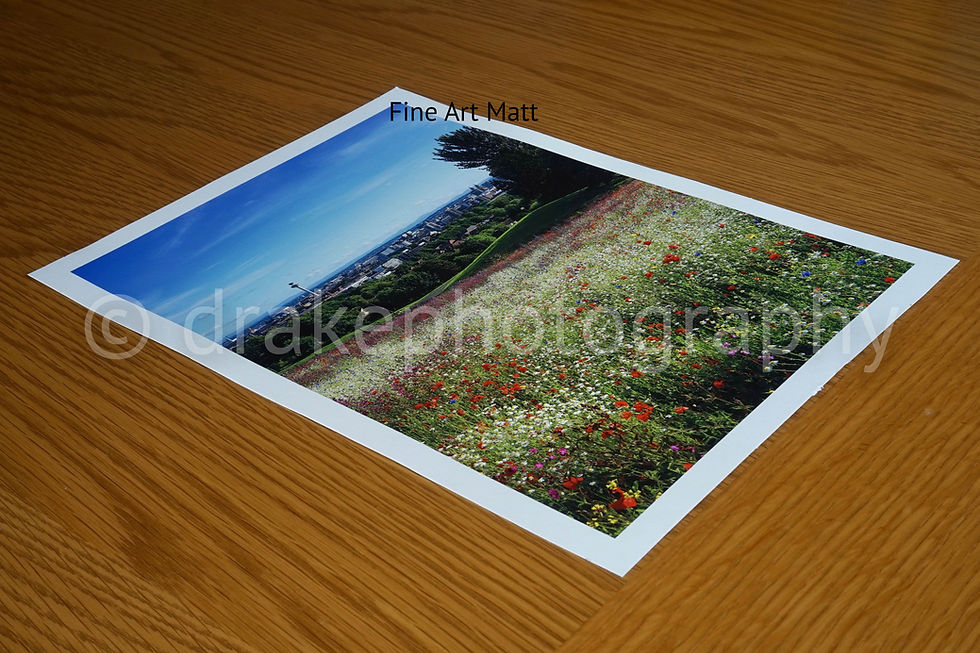 Thumbnail: Everton Park, Liverpool