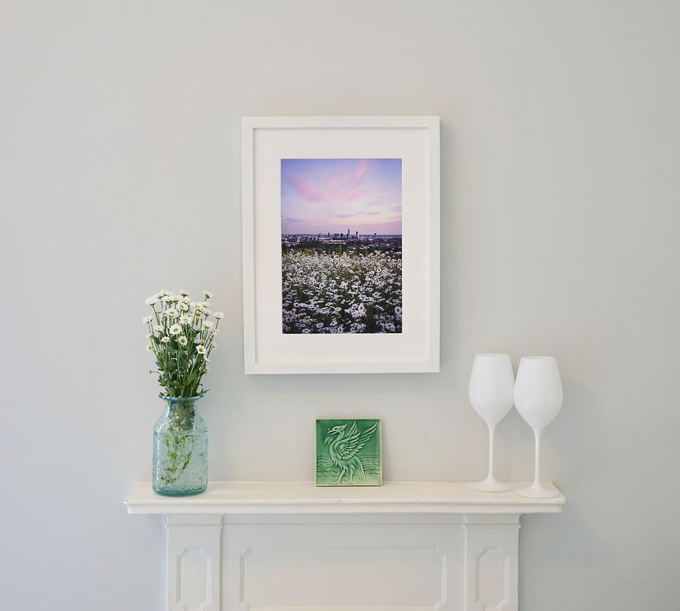 Thumbnail: Daisies...