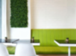 Moonleaf Store