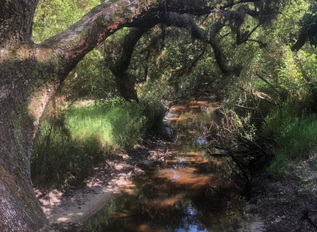 Explore North Port!
