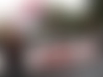 Foreshore and seabed issue re-ignites