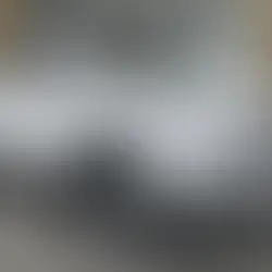 ANI O'BRIEN: What it actually costs to live "green" like Chris Hipkins