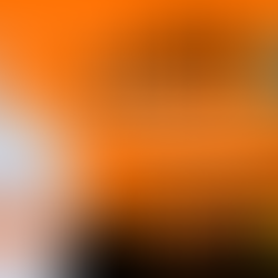 RODNEY HIDE and DON BRASH in conversation