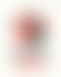 LINDSAY MITCHELL: A Confused Country