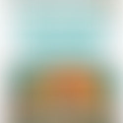 JUDY GILL: What “Giving effect to Te Tiriti” means in schools - and how zoning denies parents real choice