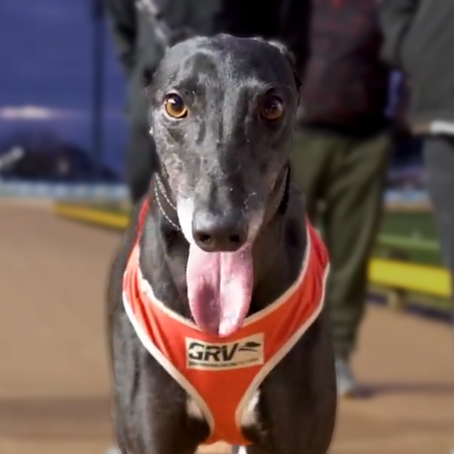 ERIC CRAMPTON: A Christmas wish