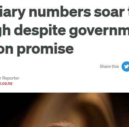 LINDSAY MITCHELL: RNZ catches up on news reported here over a month ago (re-published)