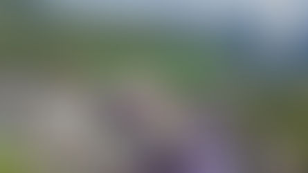 Cyclisme et environnement : le paradoxe du peloton