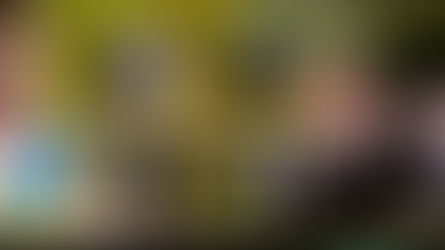 Tour de France 2026 : Paul Seixas face au plus grand défi de sa jeune carrière