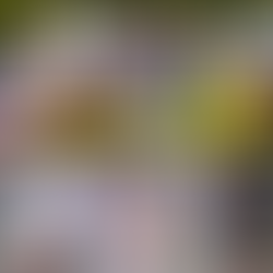 Les enjeux de la saison 2026 de cyclisme