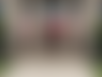 Harris County courthouse entrance with flags