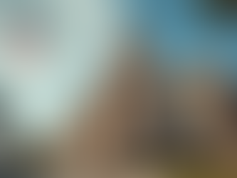 Texas courthouse showing state and federal jurisdiction