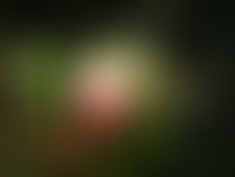 ピエ-ル・ド・ロンサール