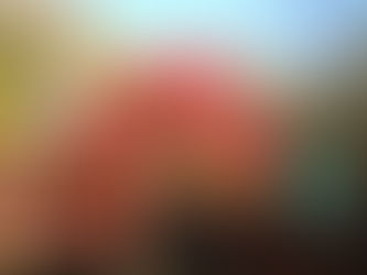 真っ赤なもみじ